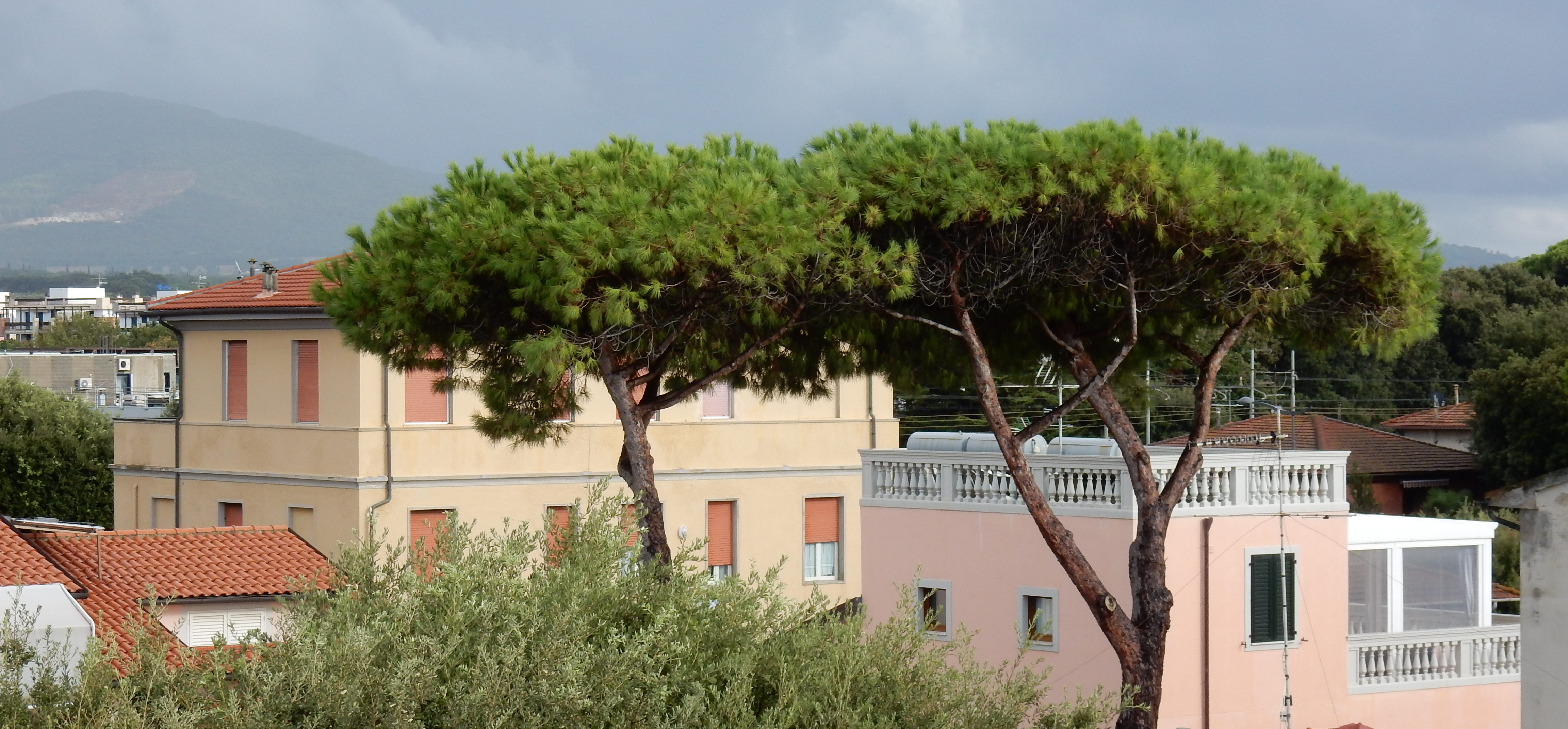 View from San Vincenzo, Italy